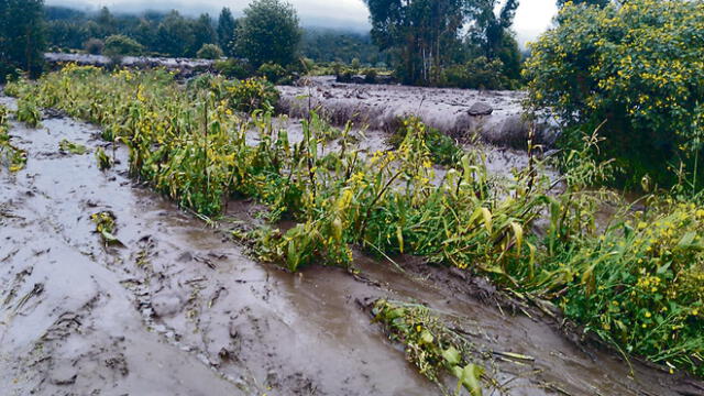 Lluvias de más de 15 horas en Cusco provocan daños en terrenos agrícolas