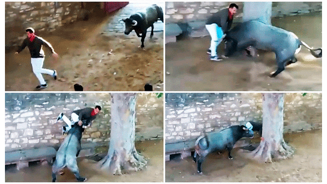España: joven recibe tres cornadas durante encierro de toros [VIDEO]