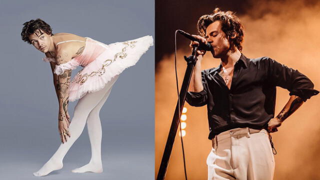 Harry Styles sube foto usando un tutú y genera controversia en Instagram