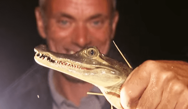 Un video viral de YouTube muestra el momento en que un pescador atrapó a una peligrosa criatura.