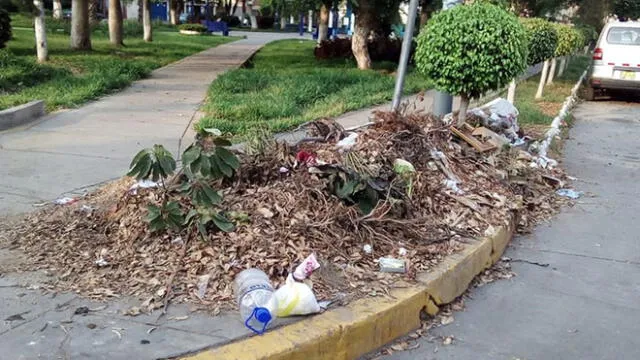 San Luis: exigen recojo de basura en calles y parques del distrito