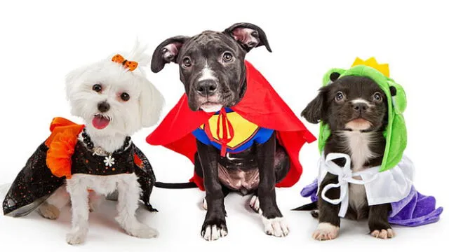 Halloween: Concurso de disfraces para adultos, niños y mascotas en la Feria de Barranco