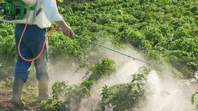 Herbicidas usados en jardines del Perú producen cáncer