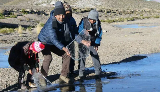 Diez provincias de Arequipa, Tacna y Moquegua soportarán frío extremo durante las noches