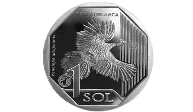 Moneda alusiva a la Pava Aliblanca. Foto: BCRP