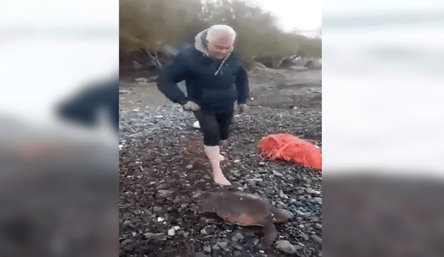 YouTube viral: hombre arriesga su vida e ingresa al mar para salvar a tortuga cubierta de plástico [VIDEO]