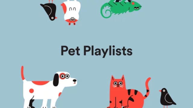 Spotify lanzó este miércoles un servicio de reproducción musical personalizada para animales.