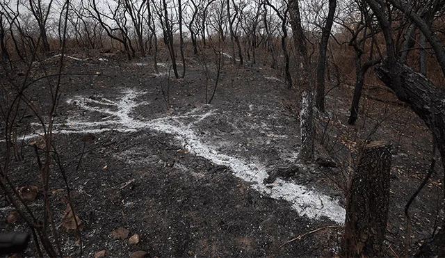 El G7 gestiona una “respuesta concreta” a los incendios en la Amazonía en Brasil