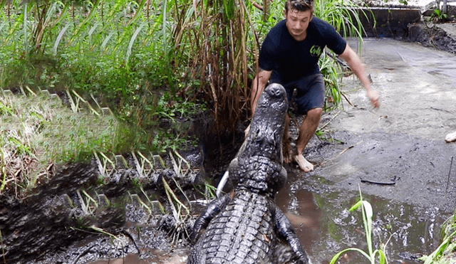 Desliza hacia la izquierda para ver el encuentro de un cuidador del zoológico con un feroz cocodrilo. Video es viral en YouTube.
