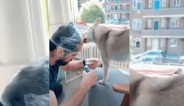 Video es viral en Facebook. Hombre compartió el peculiar truco que decidió aplicar para mantener a su perro calmado mientras le corta las uñas.
