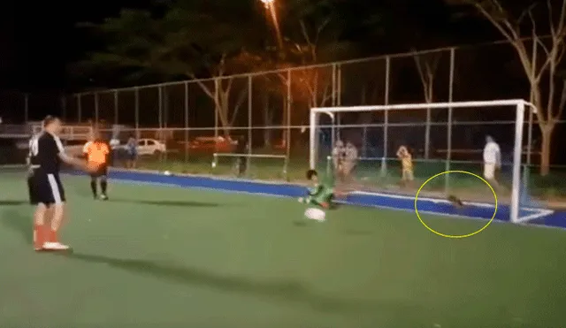 YouTube viral: perro tapa penal y arruina la victoria de un equipo de fútbol [VIDEO]