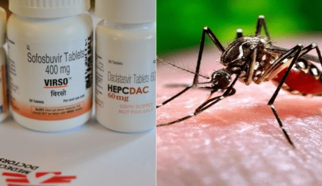 Investigadores descubren fármaco que combate al peligroso virus chikungunya