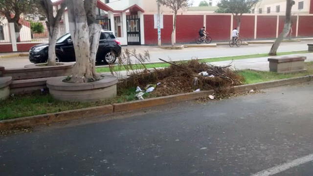 Trujillo: desmonte y restos de poda son abandonados en áreas verdes