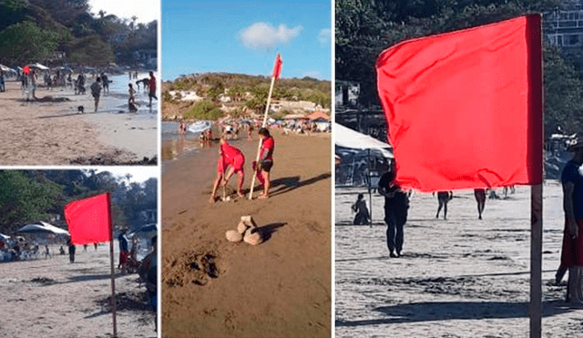 Serpientes marinas atacan a decena de turistas en playa de México