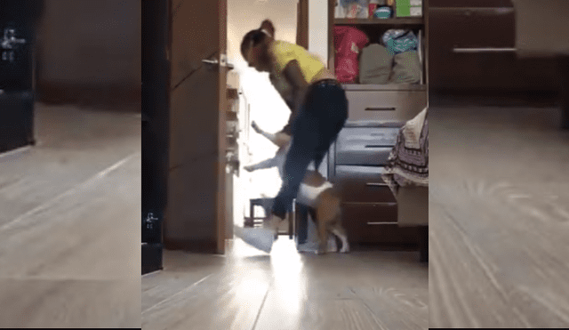Video es viral en TikTok. La mujer y el can protagonizaron una graciosa batalla, luego de que ella intentara sacarlo de la habitación para iniciar sus clases virtuales.