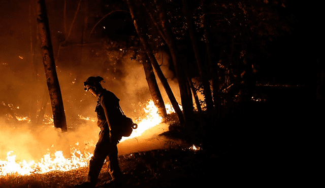 EE.UU.:asciende a 31 cifra de muertos por incendios forestales en California