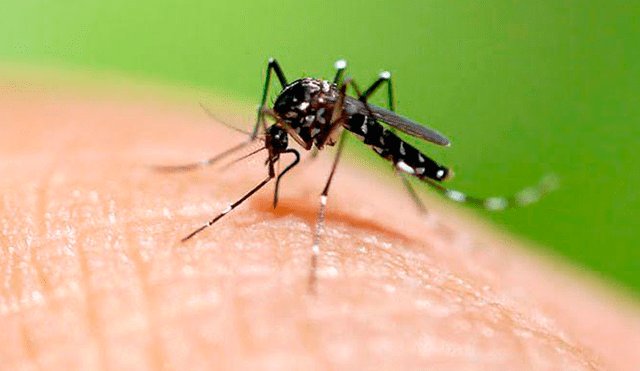 Cajamarca: realizan reuniones para prevenir el dengue en Jaén