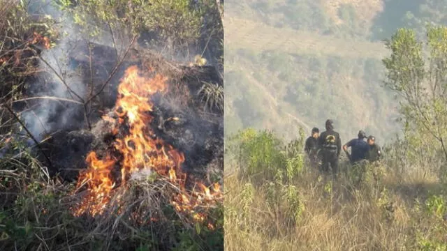 Un nuevo incendio forestal causó alarma en los sectores de Patapatayoc y Cruzpata, en Limatambo, Cusco.