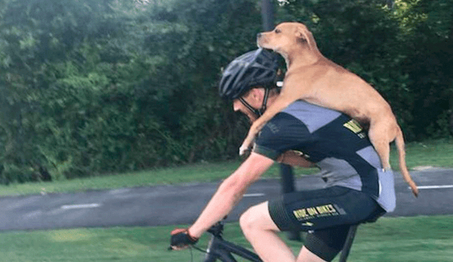 Facebook: Ciclista ayuda a perro atropellado, pero su historia toma un giro inesperado [FOTOS]