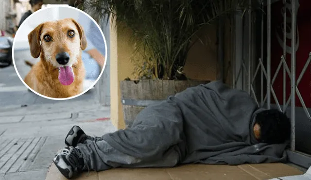 Facebook: vagabundo se queda dormido y perro aprovecha para darle 'cariño' [VIDEO]