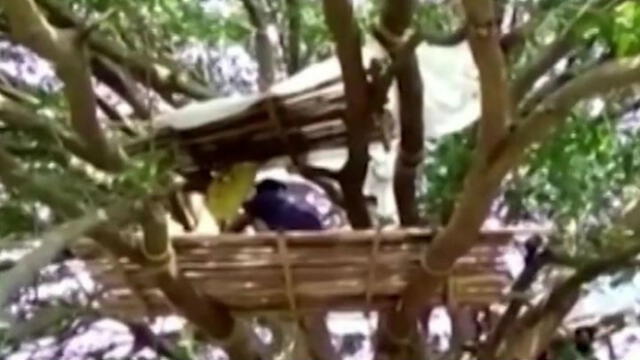 India: Hombres hacen cuarentena en los árboles por falta de espacio en sus casas