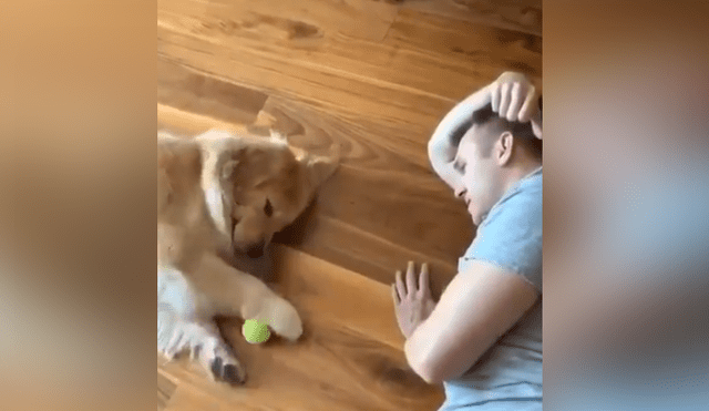 A través de Facebook se ha vuelto viral la curiosa reacción de un soñoliento perro al ver que su dueño quería jugar con él.