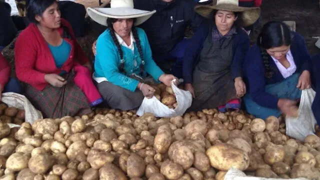 Huamachuco: mujeres de escasos recursos contarán con espacios para sembrar