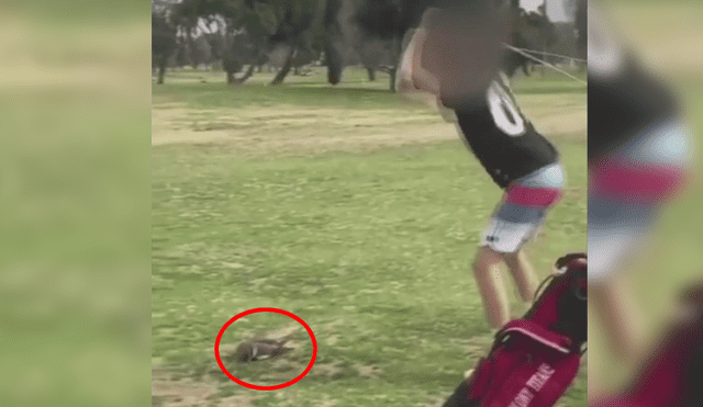 EE.UU.: espeluznante momento en que un adolescente mató a un pato con palo de golf [VIDEO]