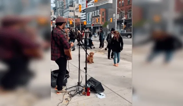 Vía YouTube. El cachorro detuvo el paseo con su dueña en plena avenida y su adorable conducta ante show de artista callejero conmovió a todos
