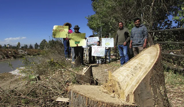 Tala ilegal de árboles daña defensa rivereña natural en Pilcomayo
