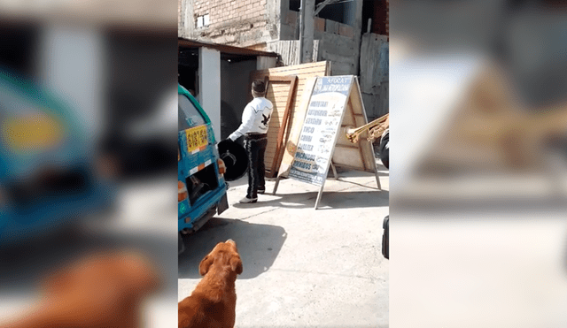 Desliza las imágenes hacia la izquierda para conocer la actuación de un perro al unirse a un grupo de mariachis.