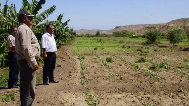 Municipalidad de Talara promueve desarrollo agrario en bosque Pariñas
