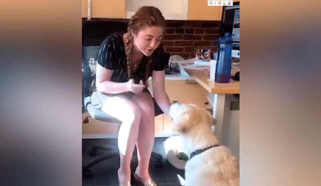 Facebook viral: chica sorda usa lenguaje de señas para entrenar a su perro y final sorprende [VIDEO] 