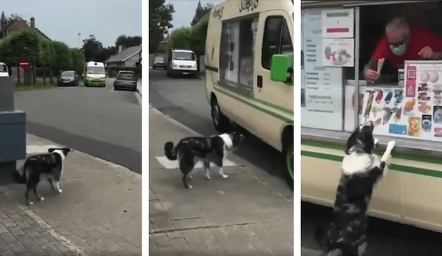 Desliza las imágenes para conocer la tierna reacción de un perro cuando vio al camión de helados. Fotos: Captura.