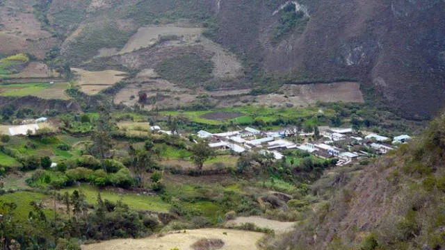 Cajamarca: Policía incautó media tonelada de hoja de coca