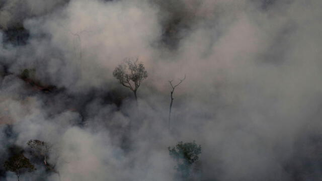 Pray for Amazonas: usuarios de todo el mundo lamentan el incendio en la amazonía de Brasil