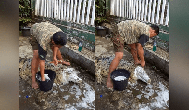 Facebook: hombre que baña a cocodrilo se vuelve viral [VIDEO]