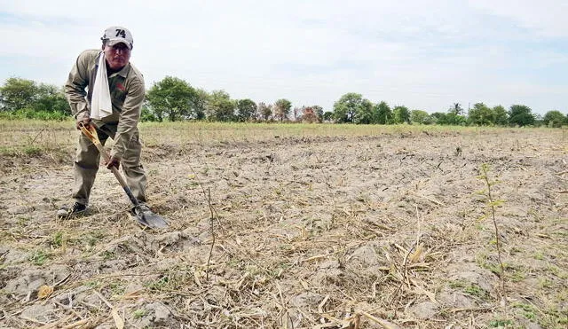 No hay indicios de un fenómeno de 'El Niño'. Foto: La República