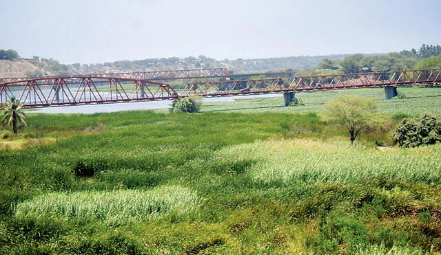 Los agricultores anhelan reservorios para beneficio de sus actividades. Foto: La República