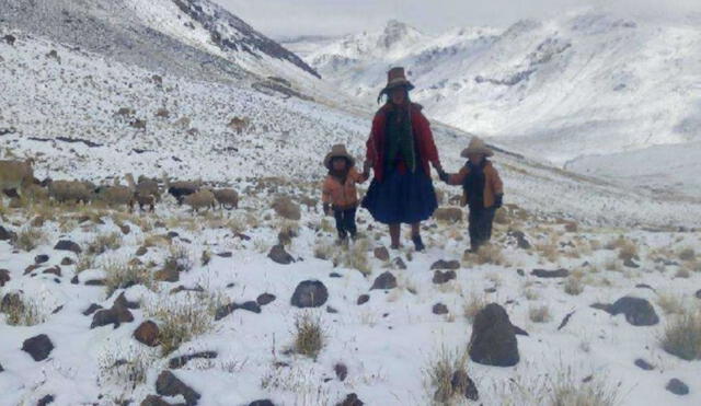 Las nevadas se presentan en las zonas ubicadas sobre los 3 mil 800 m.s.n.m. en Arequipa. Foto: Andina