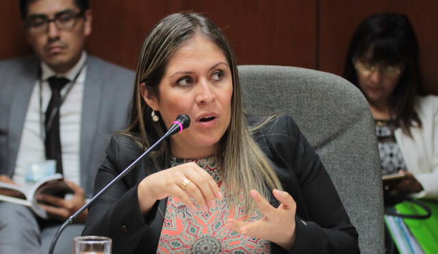 Vilcatoma fue invitada a la sesión de la Subcomisión para que argumente su denuncia contra Vizcarra. Foto: Congreso