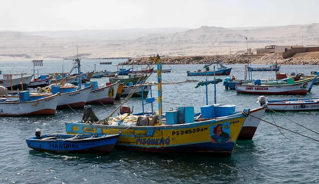Según Produce, 815.000 toneladas provinieron de la pesca artesanal marítima en el periodo 2016-2020. Foto: Ministerio de la Producción