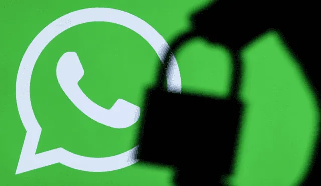 WhatsApp ha actualizado la información sobre cómo procesa y comparte los datos personales de los usuarios. Foto: Dado Ruvic