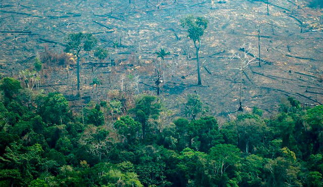 Cada año, los agricultores incendian el bosque amazónico para despejar las tierras. Foto: AFP