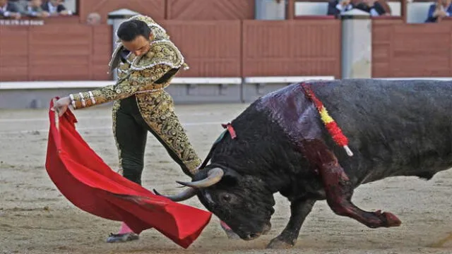 En países como Chile, Uruguay, Argentina y otros están prohibidas las corridas de toros por considerarse maltrato animal. Foto: El Mundo