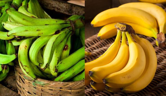 Colombia y Ecuador, son dos de los más grandes exportadores de banano en el mundo. Foto: captura en web Vix y Cocina delirante.