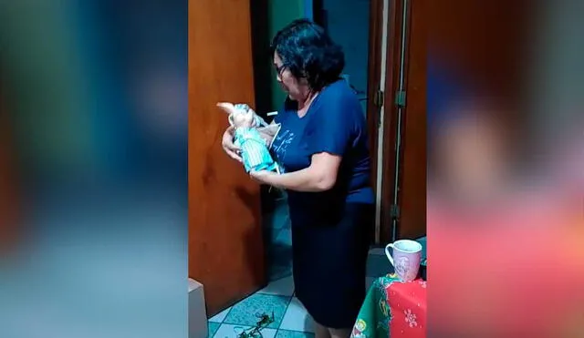 Desliza las imágenes para ver la emotiva reacción que tuvo esta madre al recibir el juguete que quiso de pequeña. Foto: captura de TikTok/@gnrluz