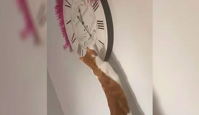 Desliza las imágenes para ver la travesura que cometió una gatita al manipular a escondidas las manecillas de un reloj. Foto: captura de Facebook