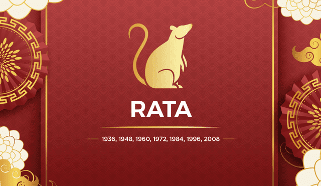La rata es considerada uno de los animales más inteligentes y valiosos del horóscopo chino. Foto: composición LR
