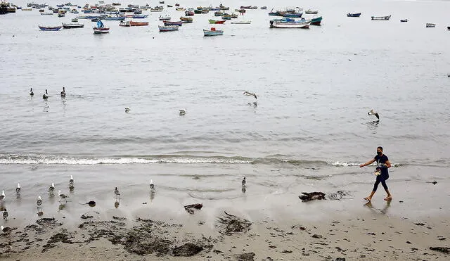Uso de playas se permitirá en tres regiones del norte del país. Foto: Marco Cotrina/La República